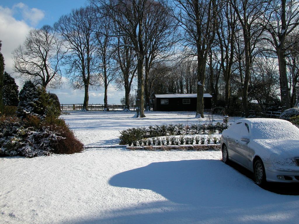 Pensión West Acre House